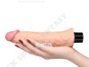 Vibrator