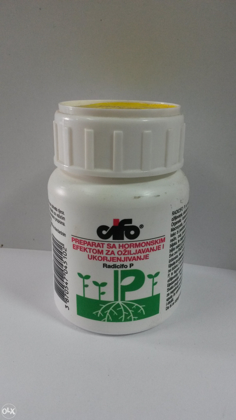 ITALPOLLINA QUIKLINK BIOATTIVATORE RADICALE CON
