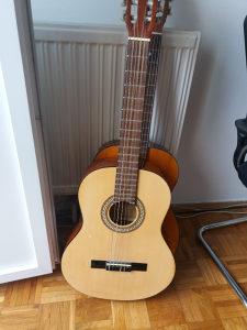 gitara akusticna (klasicna . elektricna )