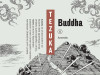 Buddha 6 / FIBRA