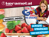 Sadnica jagode