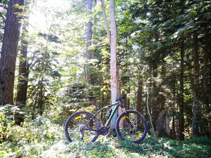 Bicikl Specialized Rockhopper 2016