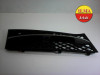 DESNA RESETKA BRANIKA 5111720070009 BMW F10 2010 190931