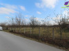 Zemljište u Brci površine 3317m2! ID:1007/BN