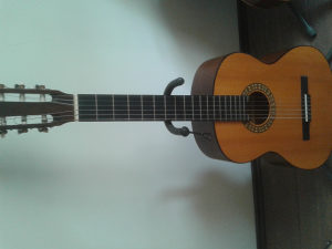 Klasicna gitara Pro arte  GC 125 M