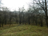 Trimmo/ Poljine, parcela 6000 m2