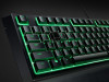 Tastatura RAZER ORNATA